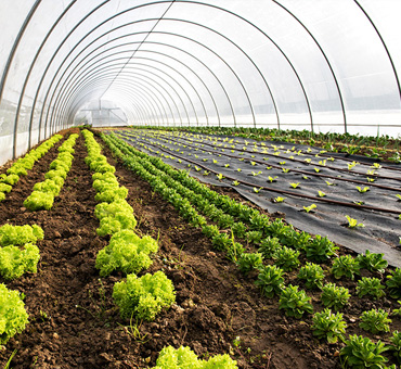 Organic Farming Awareness Program